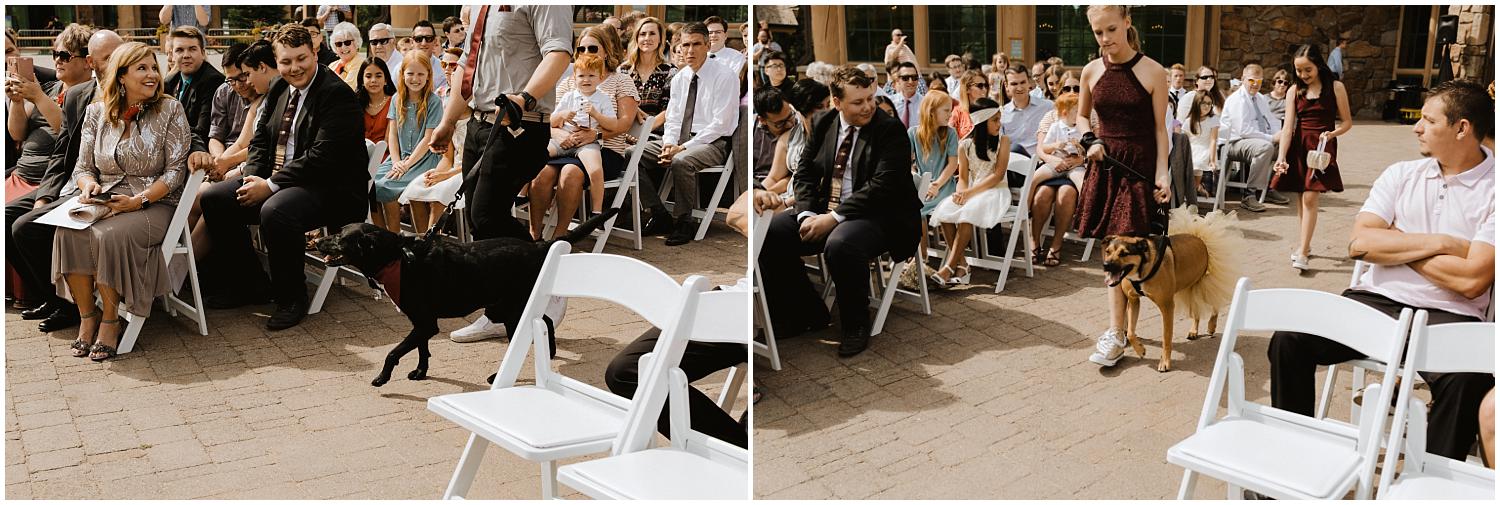 Utah Wedding Photographer